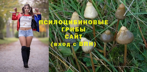 СК Верея