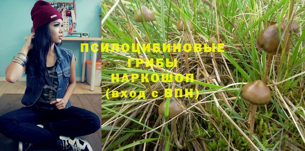 гидропоника Верхний Тагил