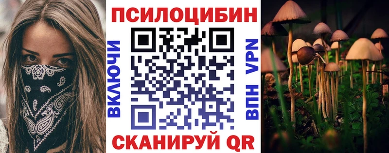 купить наркотики цена  Георгиевск  МЕГА вход  Псилоцибиновые грибы Psilocybine cubensis 